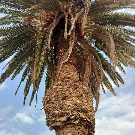 Village Naturiste Cap D'agde Le Vip Appartement Agde