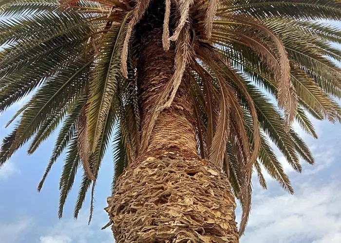 Village Naturiste R4n- Le Vip Sea View Apartmán Agde